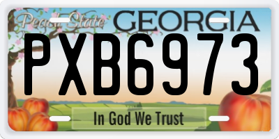 GA license plate PXB6973