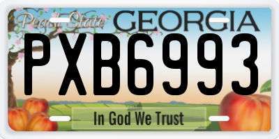 GA license plate PXB6993
