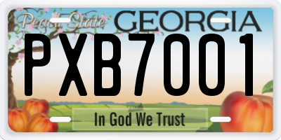 GA license plate PXB7001