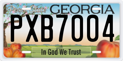 GA license plate PXB7004