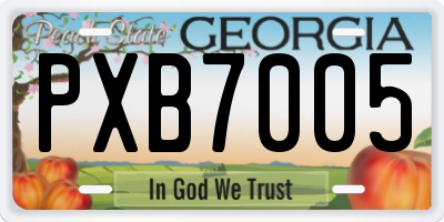 GA license plate PXB7005