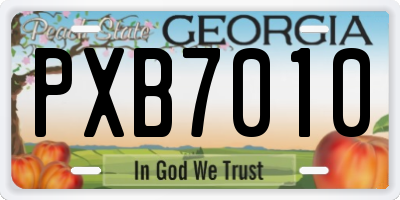 GA license plate PXB7010