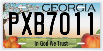 GA license plate PXB7011