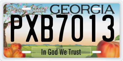 GA license plate PXB7013