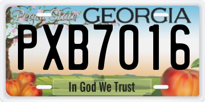 GA license plate PXB7016