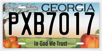 GA license plate PXB7017