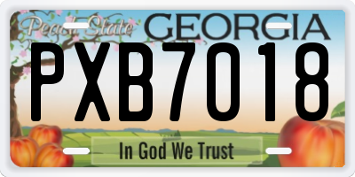 GA license plate PXB7018