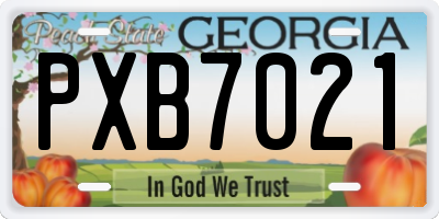 GA license plate PXB7021
