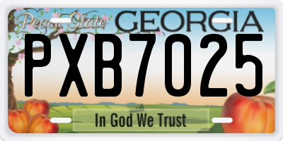 GA license plate PXB7025