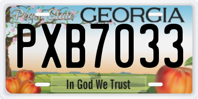 GA license plate PXB7033
