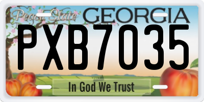 GA license plate PXB7035