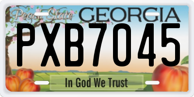 GA license plate PXB7045