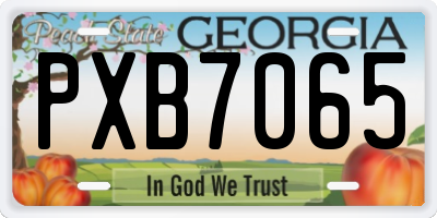 GA license plate PXB7065