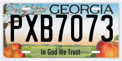 GA license plate PXB7073