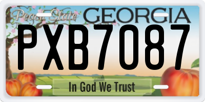 GA license plate PXB7087