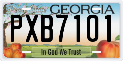 GA license plate PXB7101