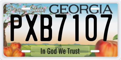 GA license plate PXB7107