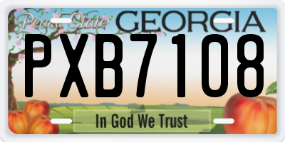 GA license plate PXB7108