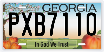 GA license plate PXB7110