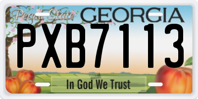 GA license plate PXB7113