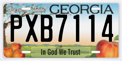 GA license plate PXB7114