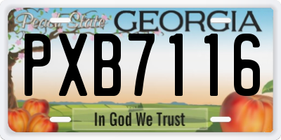 GA license plate PXB7116