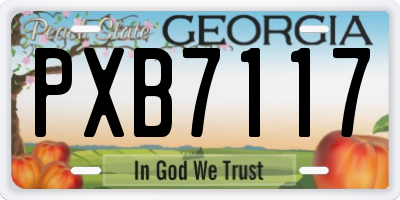 GA license plate PXB7117