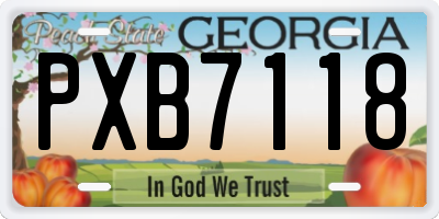 GA license plate PXB7118