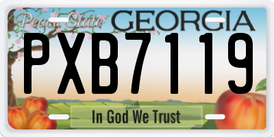 GA license plate PXB7119