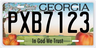 GA license plate PXB7123