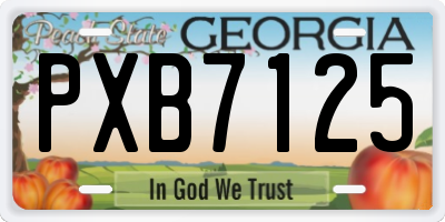 GA license plate PXB7125