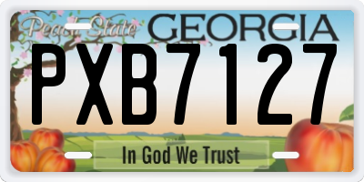 GA license plate PXB7127