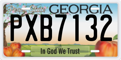 GA license plate PXB7132