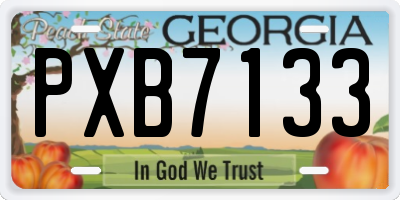 GA license plate PXB7133