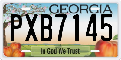 GA license plate PXB7145