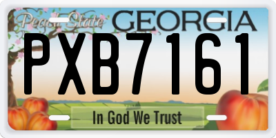 GA license plate PXB7161