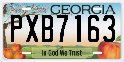 GA license plate PXB7163