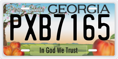 GA license plate PXB7165