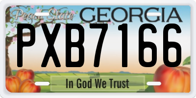 GA license plate PXB7166