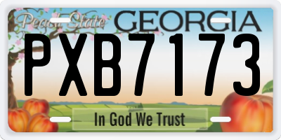 GA license plate PXB7173