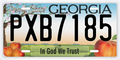 GA license plate PXB7185
