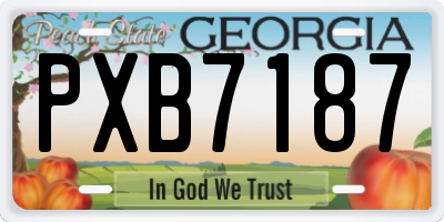 GA license plate PXB7187