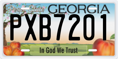 GA license plate PXB7201