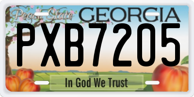 GA license plate PXB7205