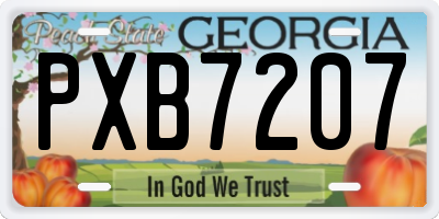 GA license plate PXB7207
