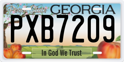 GA license plate PXB7209