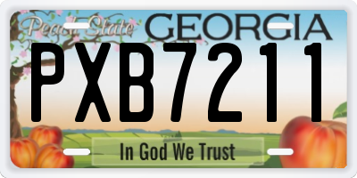 GA license plate PXB7211