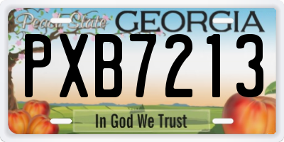 GA license plate PXB7213