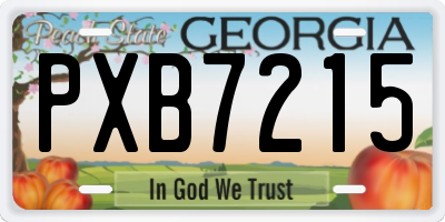 GA license plate PXB7215