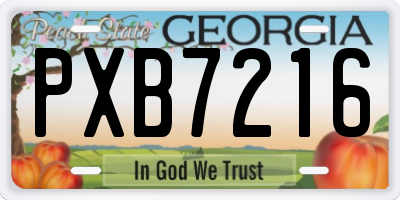 GA license plate PXB7216